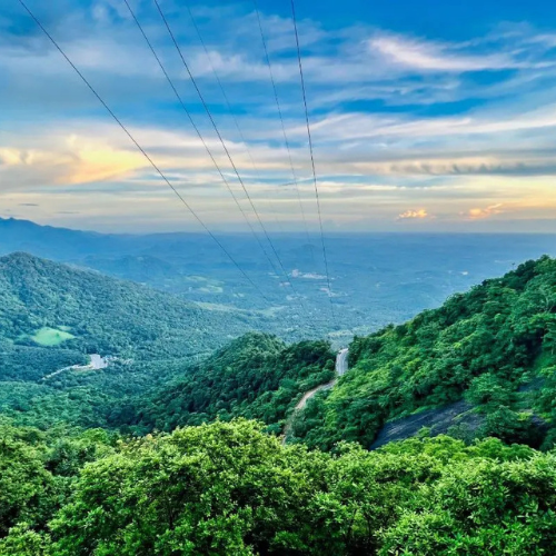 Wayanad