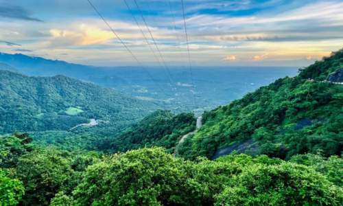 Wayanad
