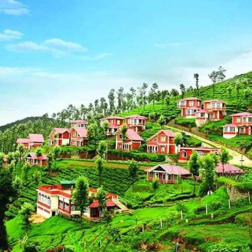 Ooty