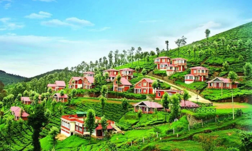 Ooty